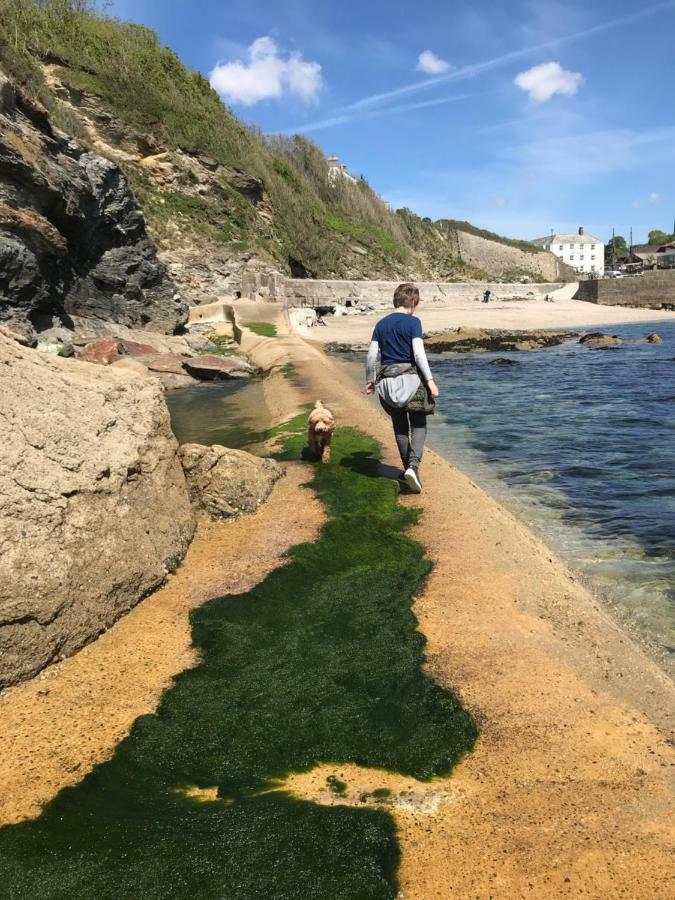 Starfish Cottage- Private Beach Access- Dog Friendly Charlestown  Exteriér fotografie
